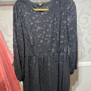 Black Sparkly Long Sleeved J. Crew Dress